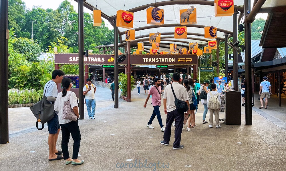 新加坡夜間動物園動線