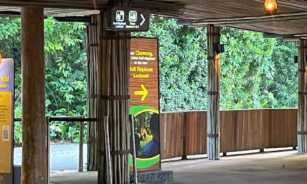 新加坡夜間動物園大象觀景台