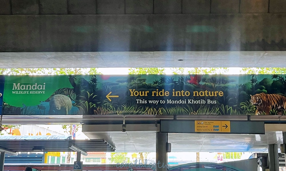 地鐵站轉公車去夜間動物園