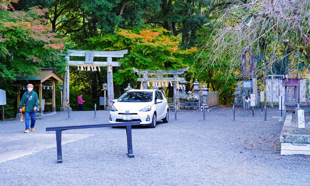前往武雄神社大楠木