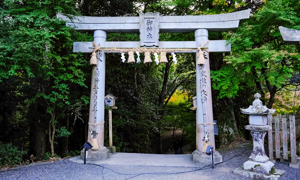 武雄大楠鳥居