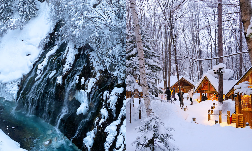 北海道冬季自由行