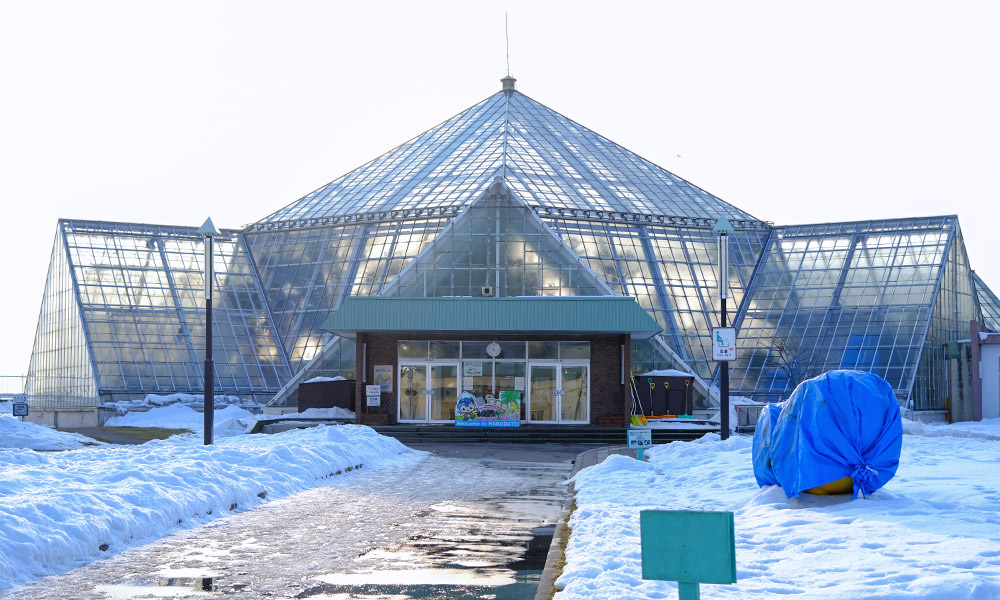 函館市熱帶植物園溫室建築