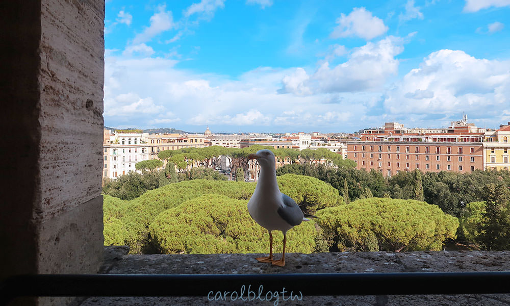海鷗與羅馬風景