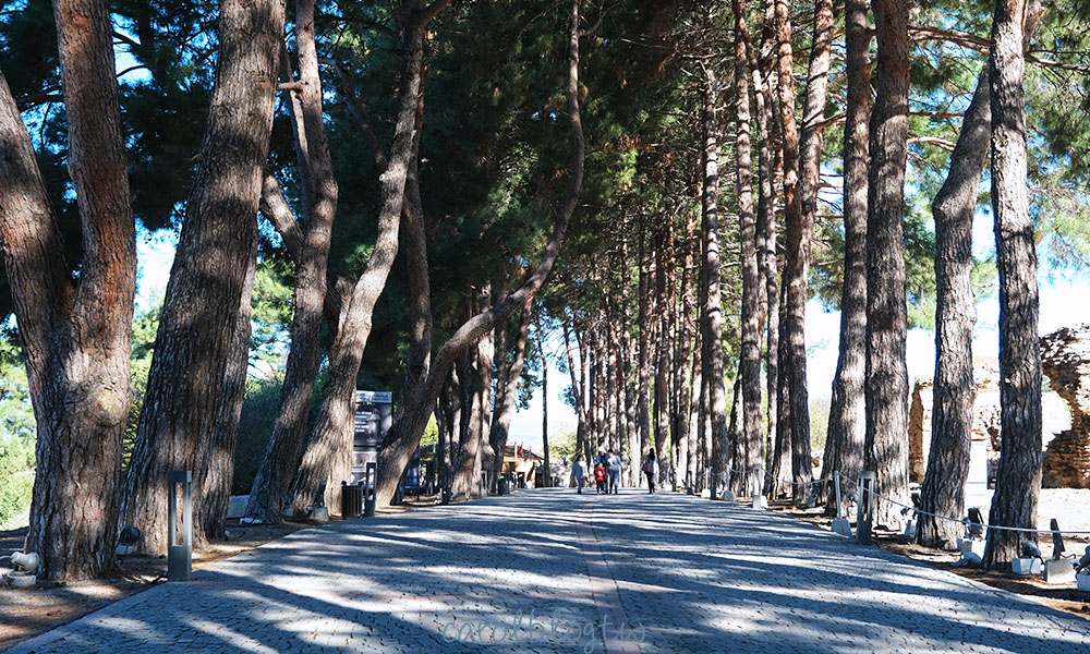 通往以弗所出口的道路