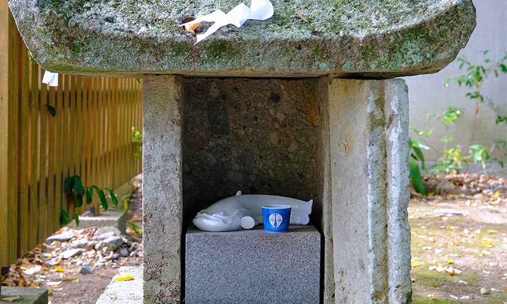 豐玉姬神社鯰魚