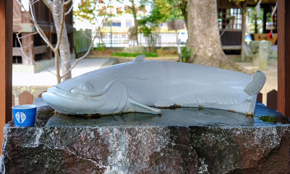 豐玉姬神社鯰魚神