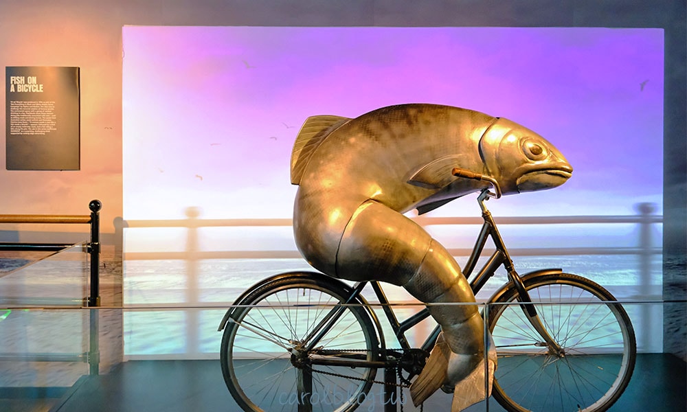 FISH ON A BICYCLE