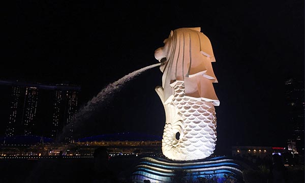新加坡魚尾獅夜景