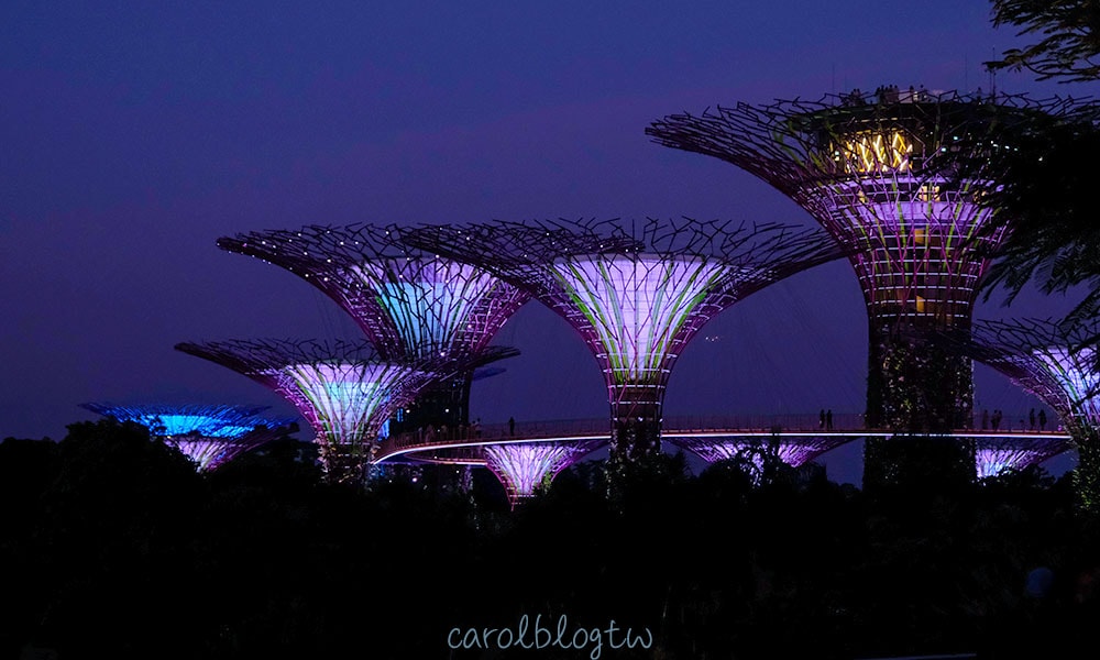 新加坡濱海灣花園超級樹夜景