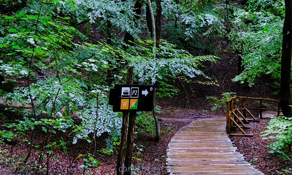 十六湖路牌