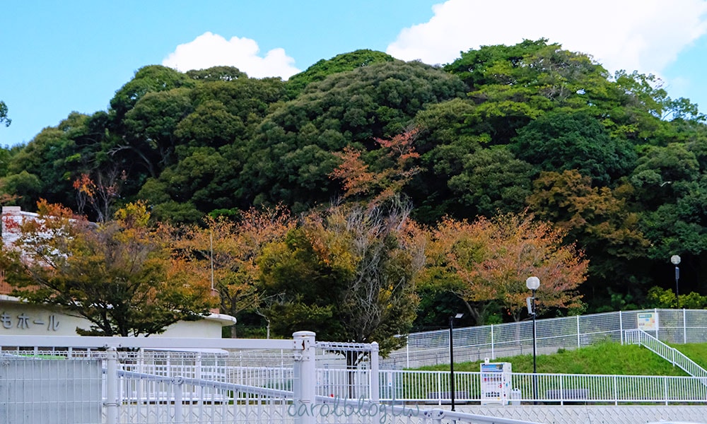 小倉到津之森公園