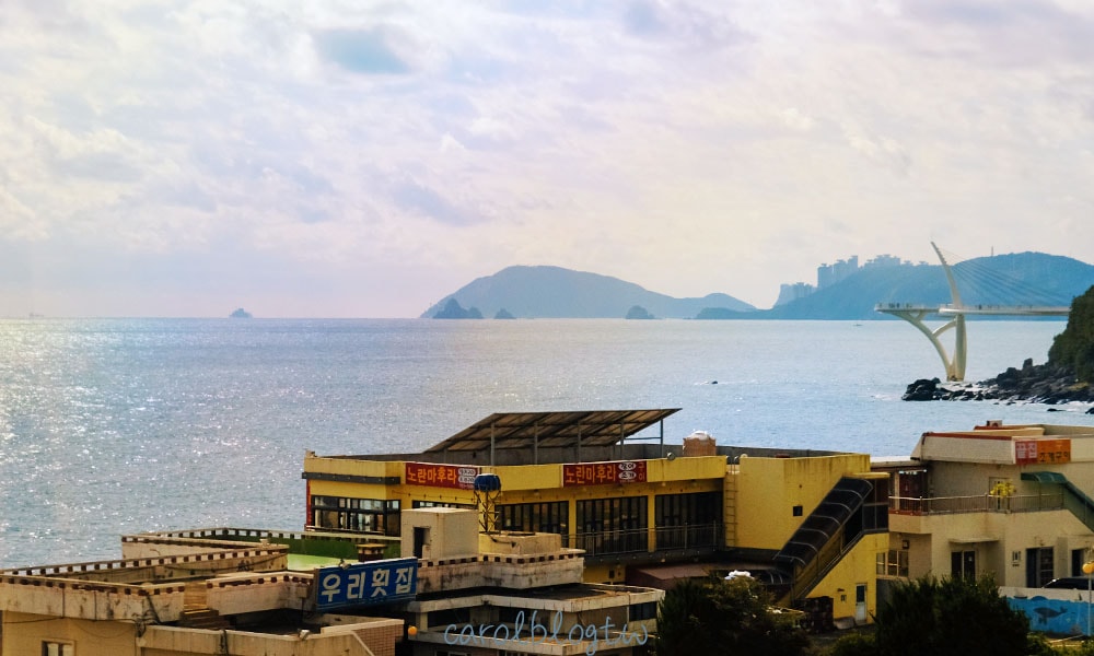 在膠囊列車上看到的海景