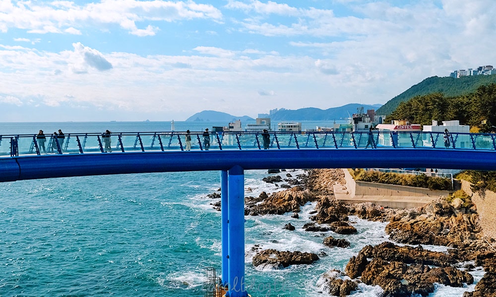 青沙浦天空步道新開幕