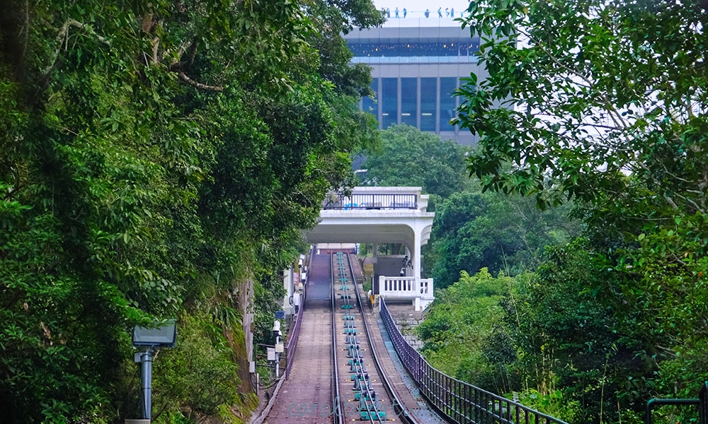山頂纜車第一排座位視野
