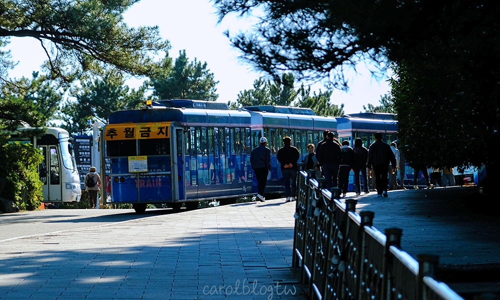 Read more about the article 【太宗台一日遊】遊園車資訊/太宗台景點推薦/交通攻略