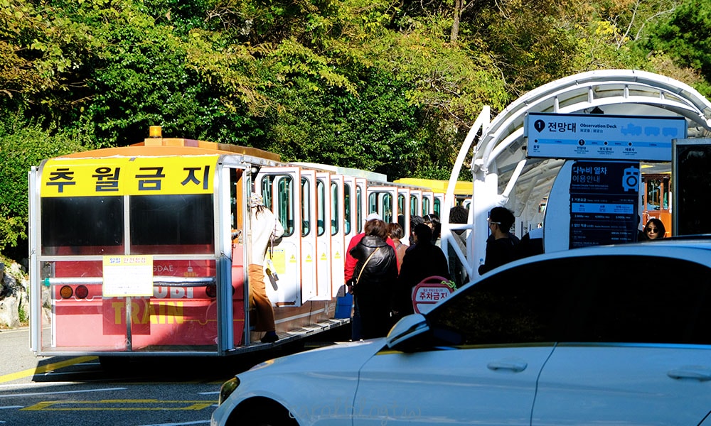 太宗台觀景台列車站