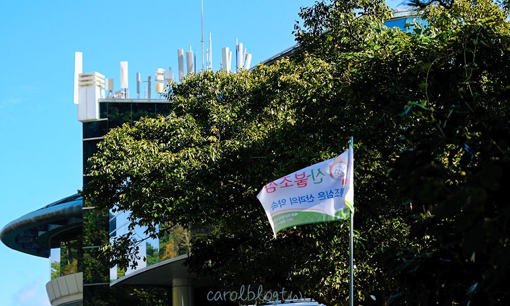 太宗台觀景台