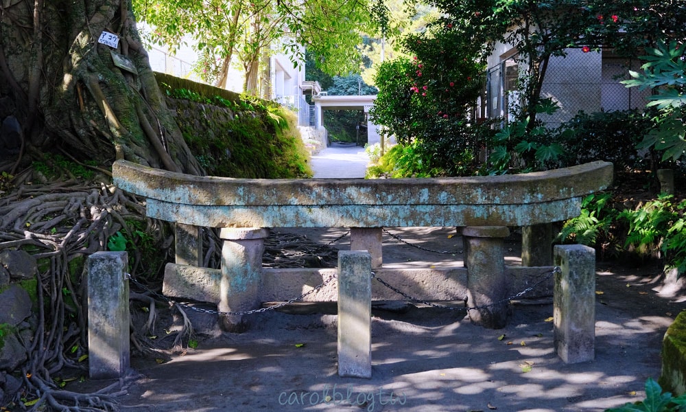 櫻島黑神埋沒鳥居