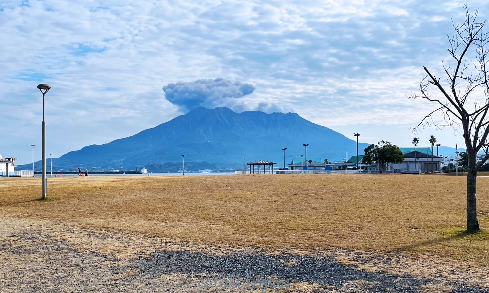 在鹿兒島看櫻島火山