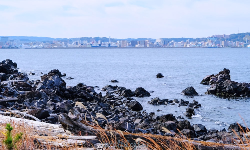 櫻島熔岩海濱步道