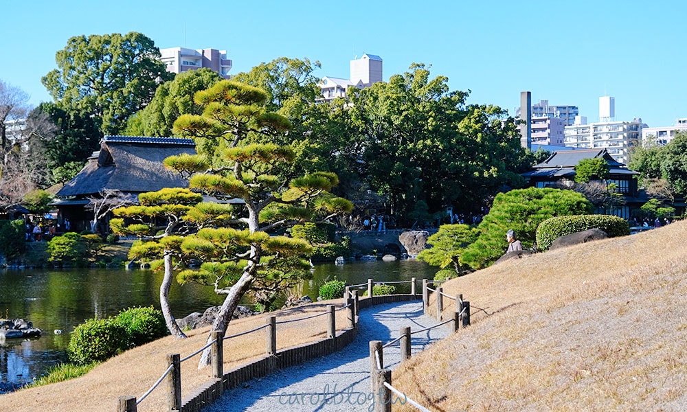 水前寺成趣園小徑