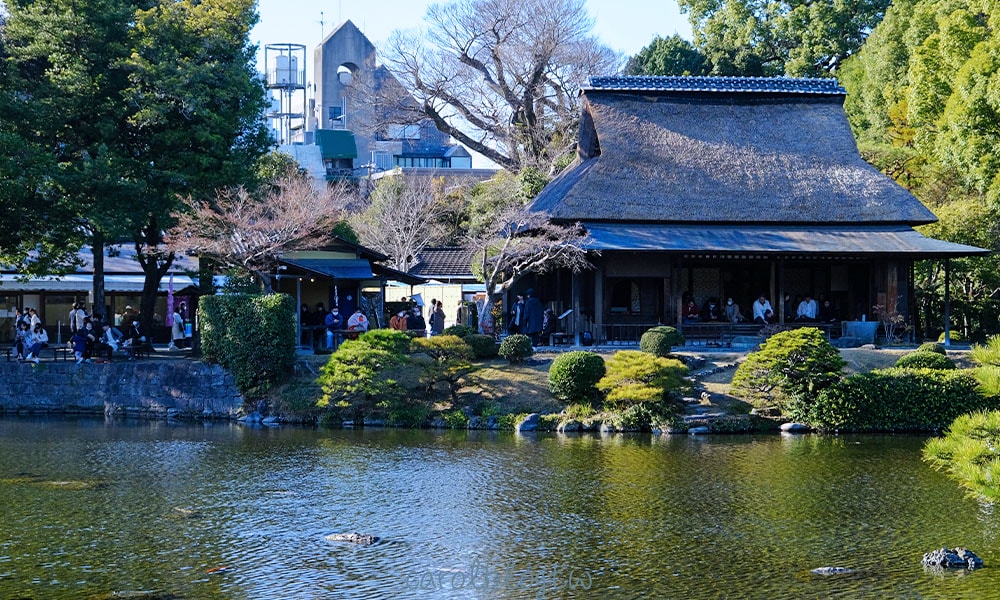 水前寺成趣園照片