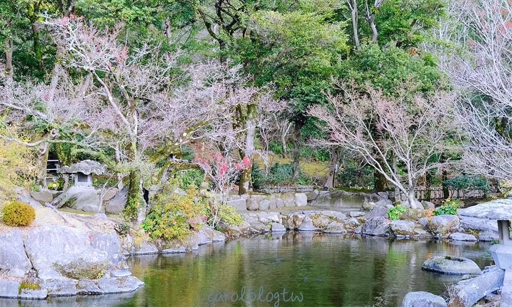仙巖園池塘景色