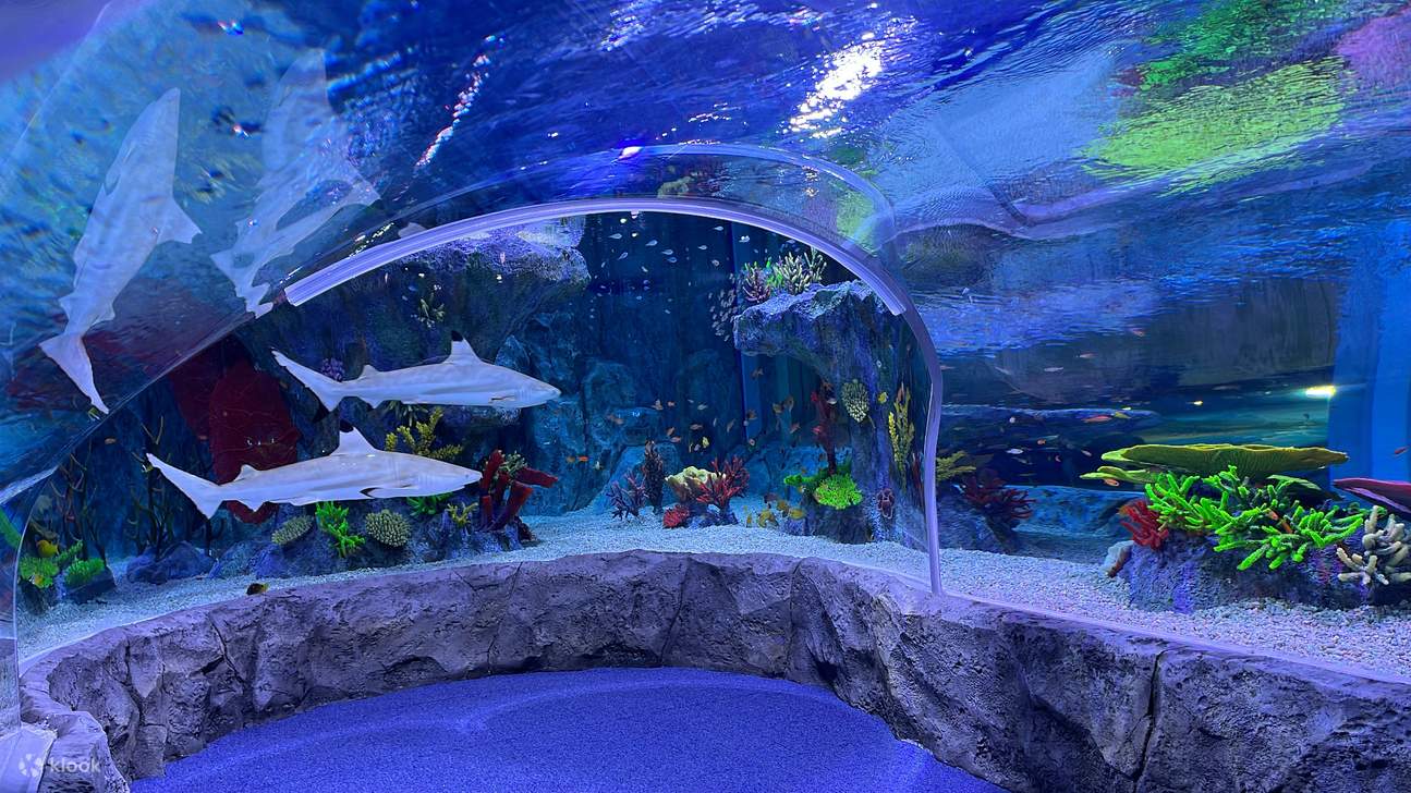 SEA LIFE釜山水族館