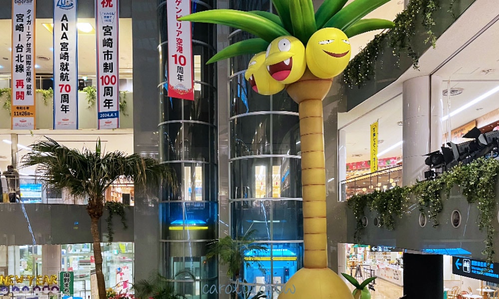 宮崎機場椰蛋樹