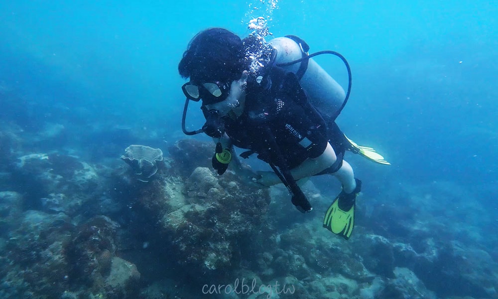 富國島新手潛水