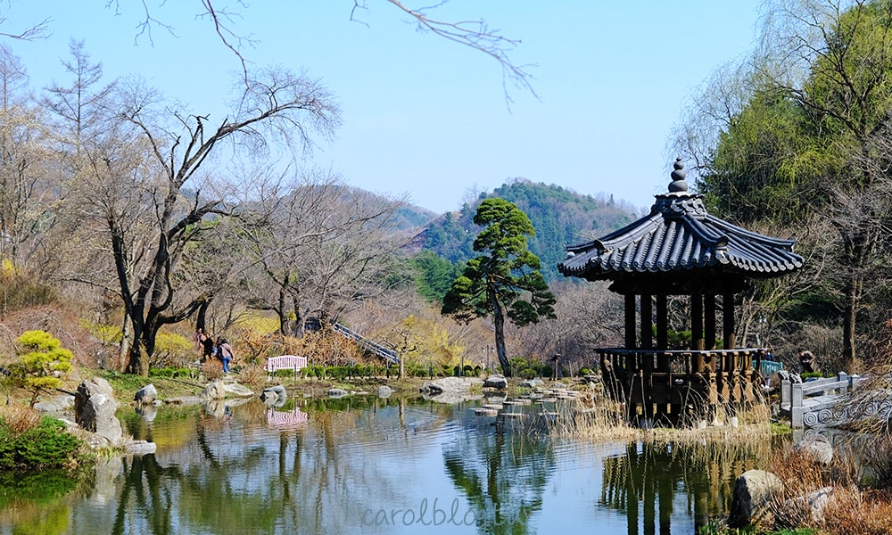晨靜樹木園的園林造景