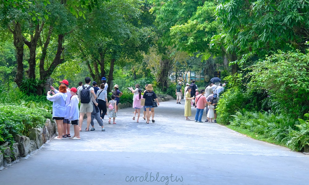 珍珠野生動物園內的道路
