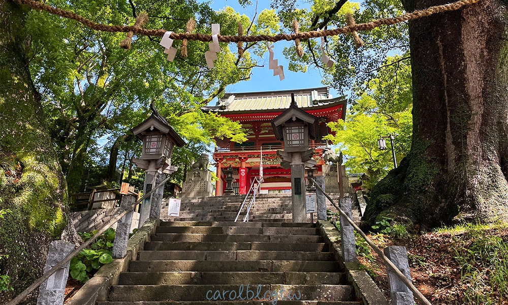 北岡神社夫妻楠