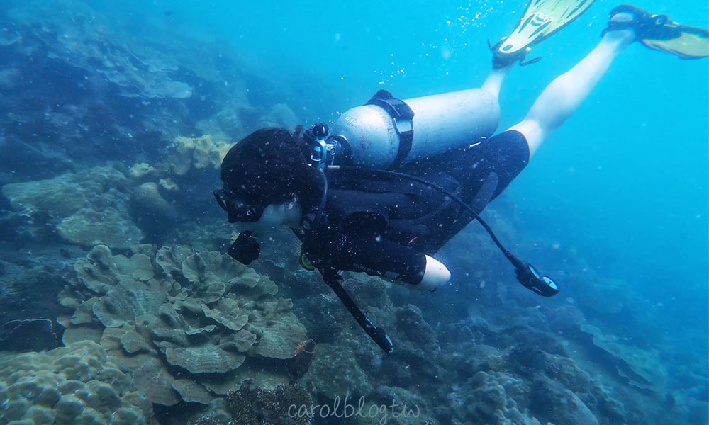 富國島潛水體驗