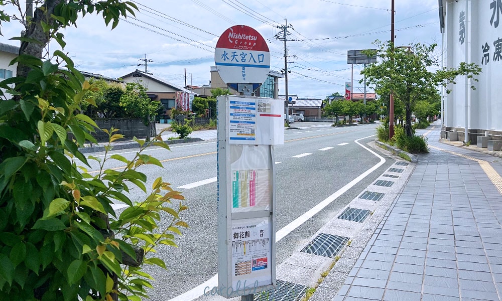 柳川公車