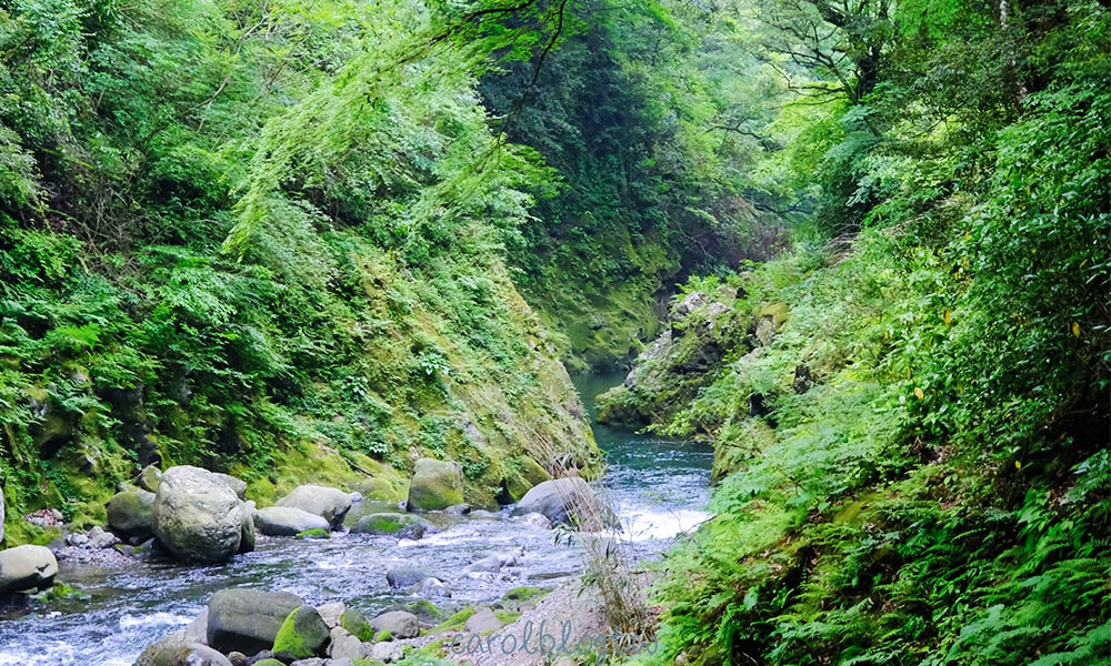 高千穗天安河原峽谷