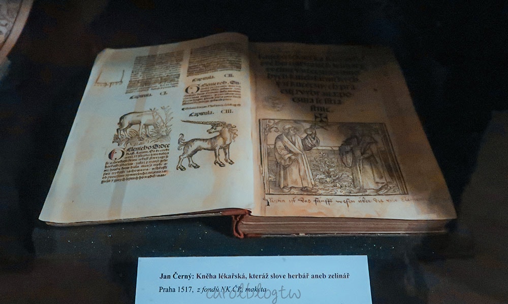 克萊門特學院數百年書本