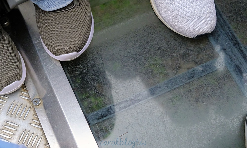 高千穗小火車廂透明地板