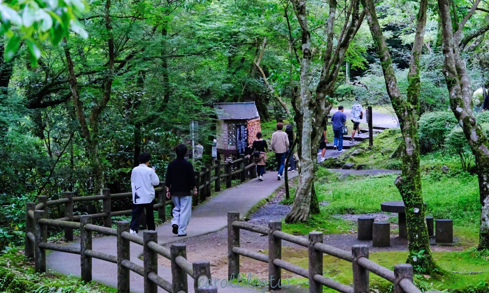 高千穗峽真名井瀑布步道