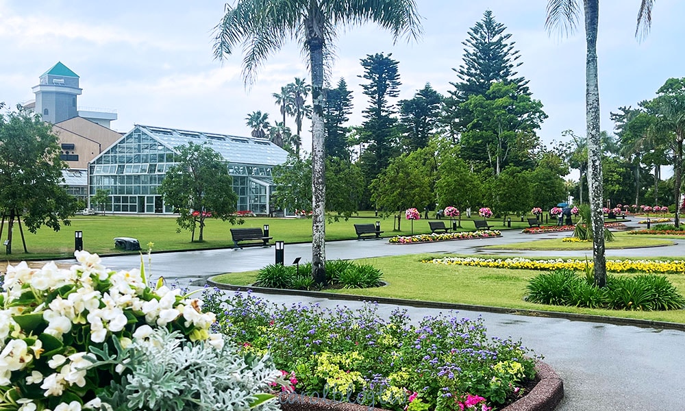 青島亞熱帶植物園