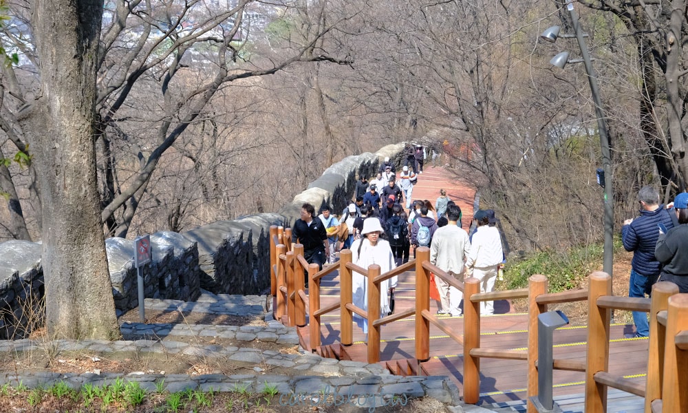 走步道上南山