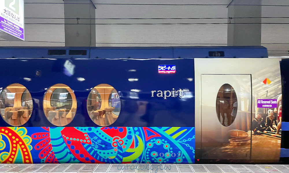 南海電鐵特急Rapi:t外觀
