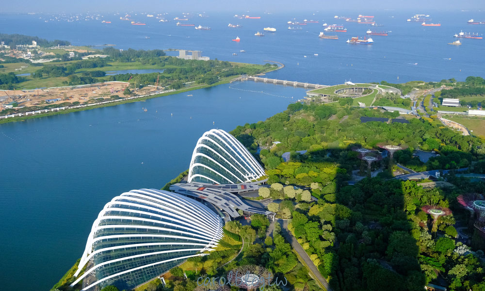 金沙空中花園高空觀景台眺望濱海灣花園