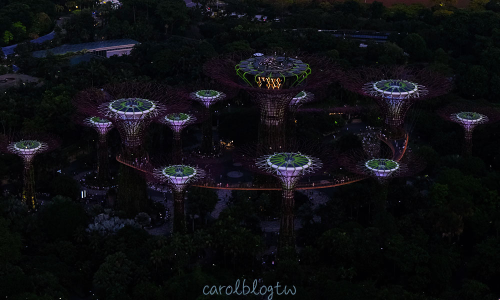 金沙空中花園高空觀景台夜景