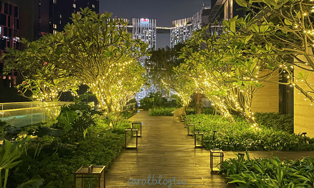 索菲特飯店夜景