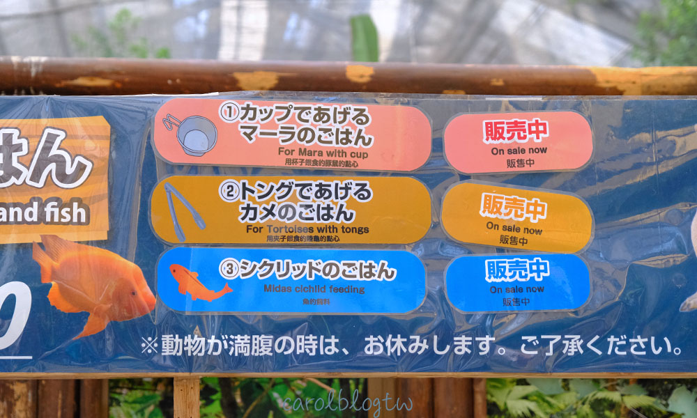神戶動物王國 餵食體驗價格
