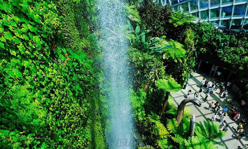 濱海灣花園雲霧林瀑布
