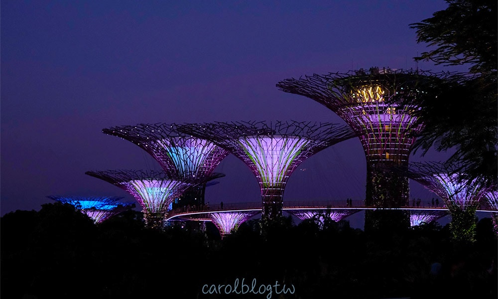 濱海灣花園超級樹夜景