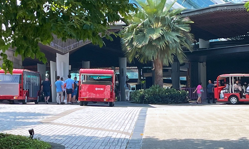 濱海灣花園接駁車